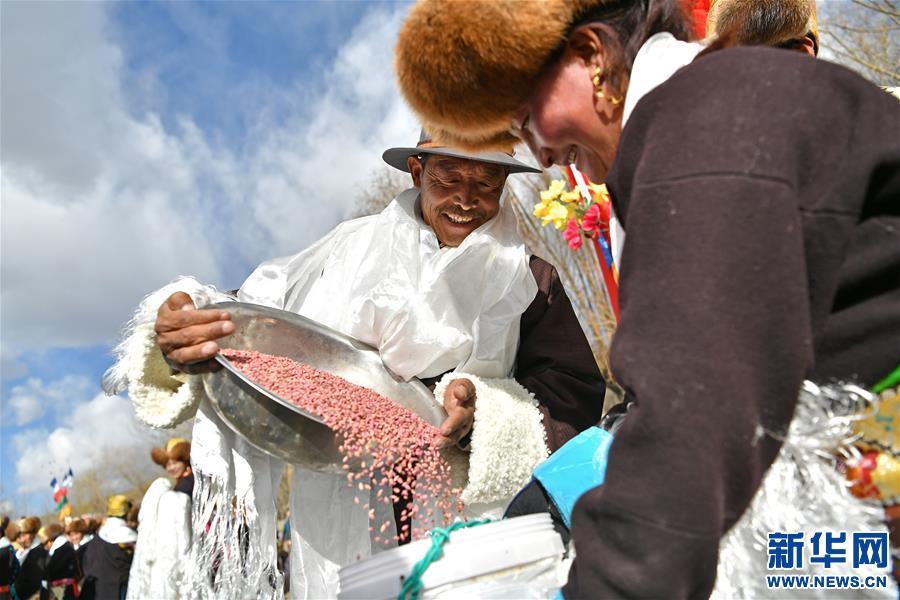 春耕第一犁：西藏农民犁开春的希望