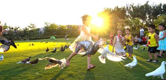 ������ƽ����Ӱ���Σ����Ŵ�����߰�ȫ�г��м�ʵ