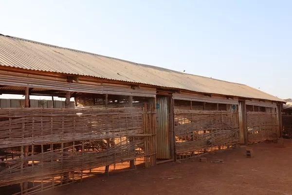 世界难民日，听维和官兵讲述与难民的故事