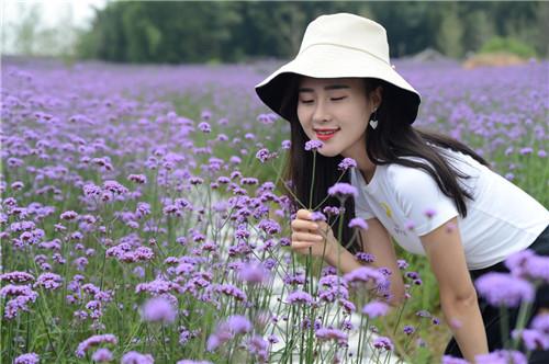 1562661252614503.jpg 图片7.jpg