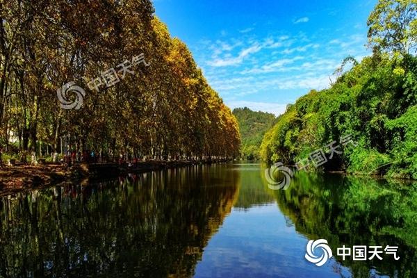 �����ȵ�ӭ��ˮ���� ���������Ƶ�������ڡ�