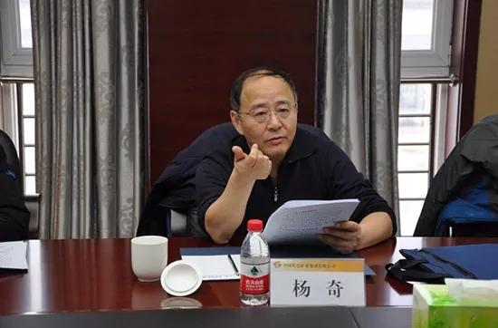 中国有色集团副总杨奇被查 获任子公司董事长6天旋即辞职