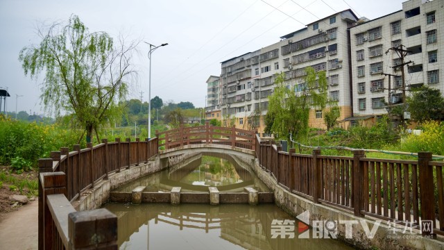 ������Ĵ�������Ƴ��ӹ�����1��TV-������ ���� ���� ��