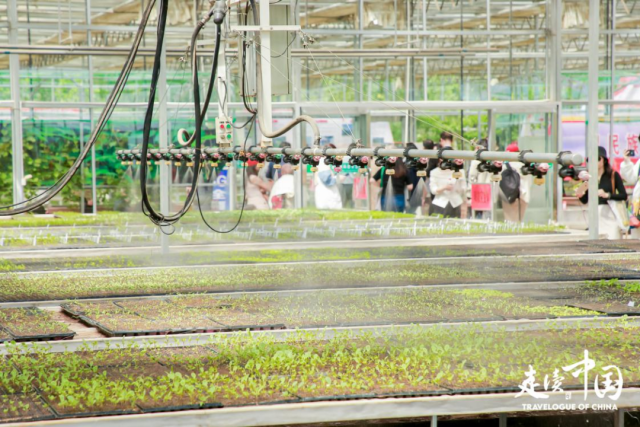 “走读中国” 内蒙古行：触摸高质量发展的强劲脉搏(图5)