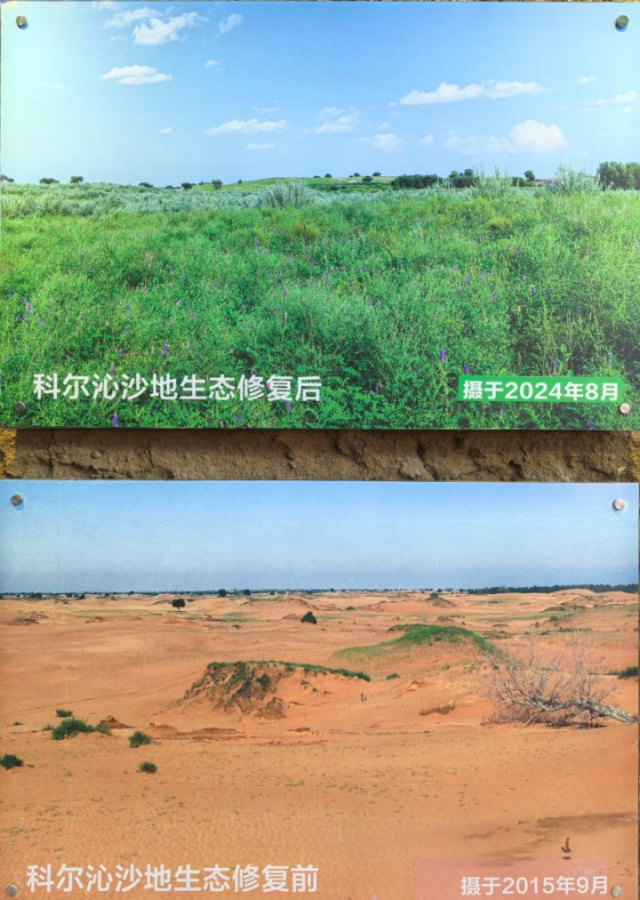 “走读中国” 内蒙古行：触摸高质量发展的强劲脉搏(图15)