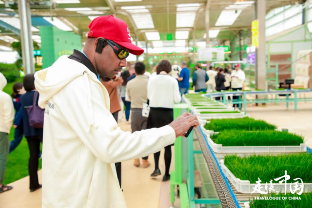 “走读中国” 内蒙古行：触摸高质量发展的强劲脉搏(图16)