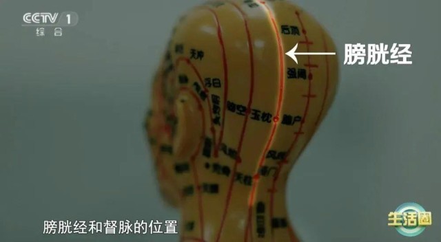 不同位置白发反映不同健康问题护发与健康小贴士快收藏(图6)