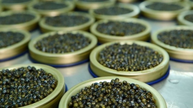 业领航 绘就外贸发展新画卷j9九游会入口首页特色产(图6) 业领航 绘就外贸发展新画卷j9九游会入口首页特色产(图6)