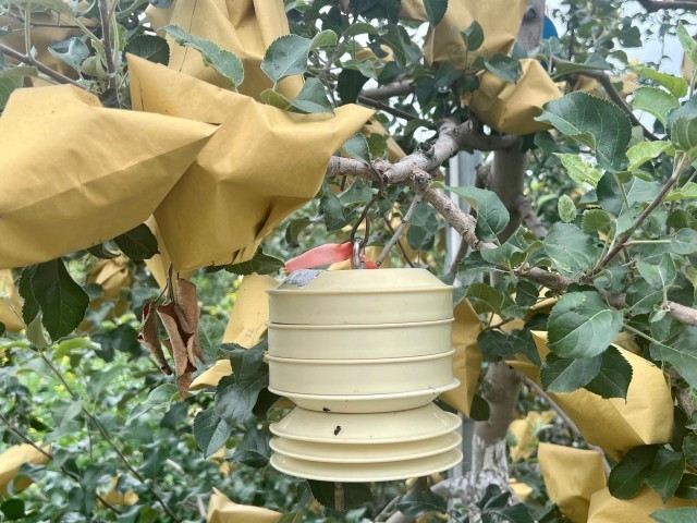 两要素果园气象站。人民网 高清扬摄