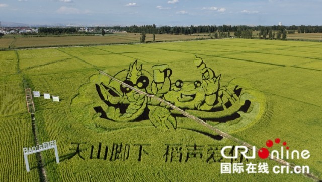 图片默认标题_fororder_图片3