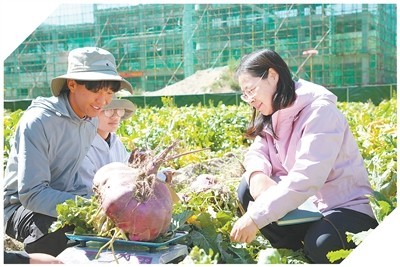 2024年科技创新对西藏经济增长贡献率已提升至42% 雪域高