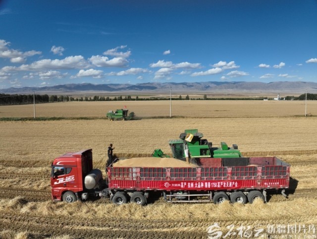 “慧”种田重塑新疆农业生产方式(图2)