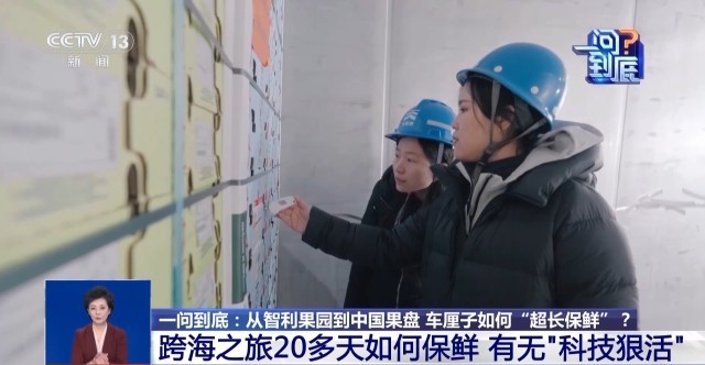 从智利果园到中国果盘详细揭秘车厘子如何“超长保鲜”(图5)