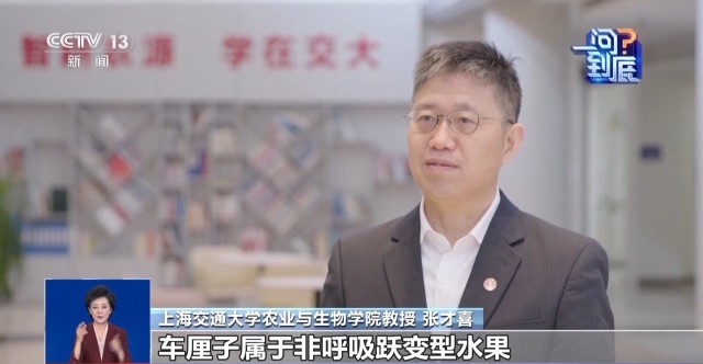 从智利果园到中国果盘详细揭秘车厘子如何“超长保鲜”(图10)