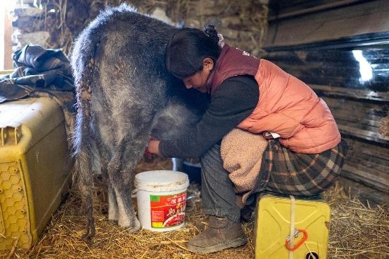 �����ճ����ڼ�ţ�̡����������� ��������