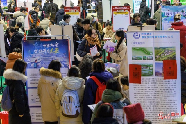 【职引未来】聚合力搭平台送岗位 暖心服务助青年梦想启航