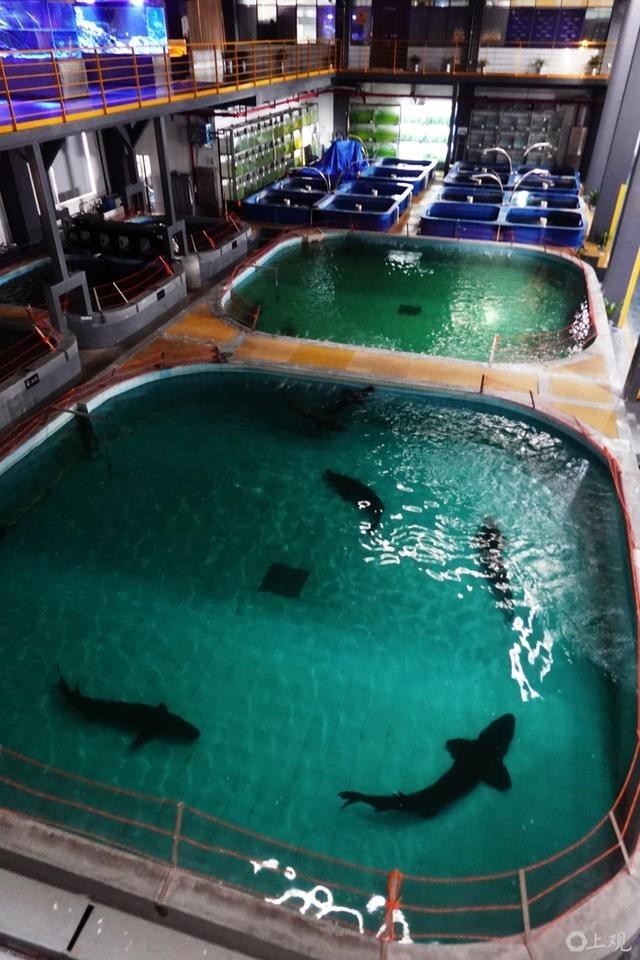 ����ͼ���л����ǵ��͵Ľ�����������࣬������Ϣ��������ֳ