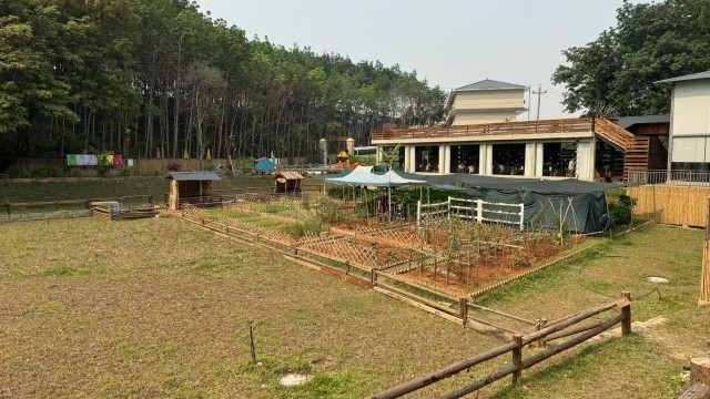 西双版纳的馈赠：让“远方”变得亲切让“理想”变得具体丨文旅青年(图3)