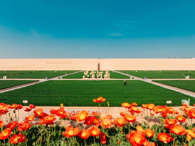 景区内的麦田广场。只有河南·戏剧幻城景区供图