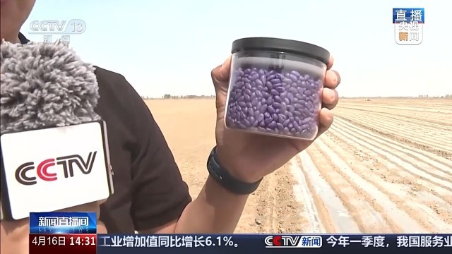 误差不到万分之一！播种用上北斗导航效率翻倍(图2)