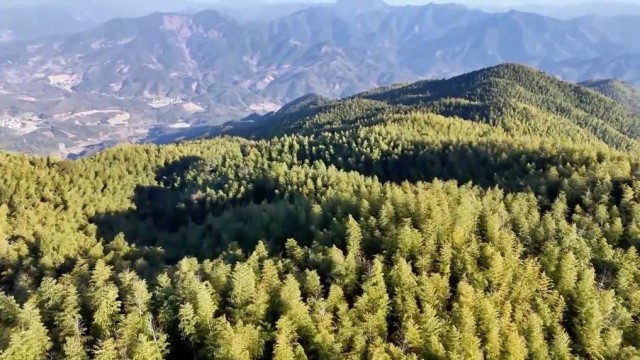 科技赋能 特色产业助力乡村振兴