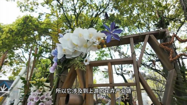 从良渚创客空间到乌江古镇看见中国经济的春意(图3)