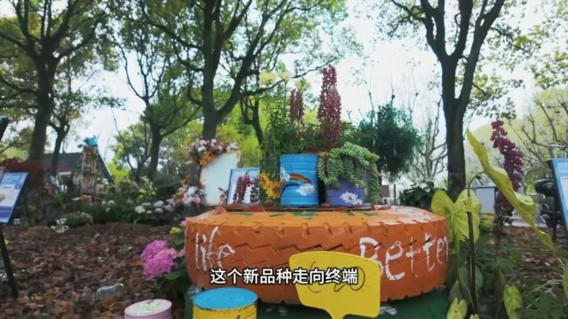 从良渚创客空间到乌江古镇看见中国经济的春意(图4)