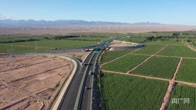 戈壁驼铃响新疆柯坪以路兴产让“沙漠之舟”变“富民之舟”(图4)