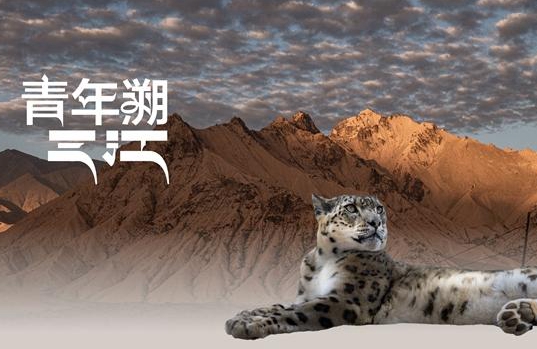 e9a90db5-8d83-47fe-9e95-08f0217eb845.jpg