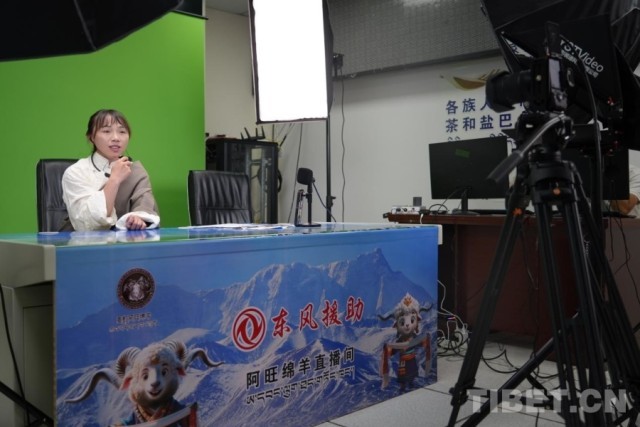 【石榴花开籽籽同心】阿旺绵羊产业链上的贡觉力量(图6)