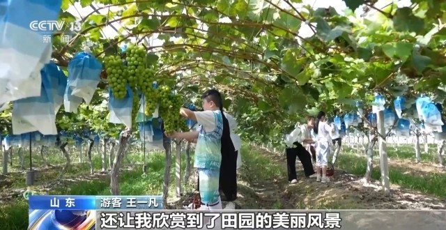 剧本游、山居慢游多元玩法带热乡村“微度假”(图11)