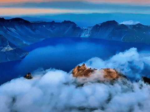 1000114959.gif