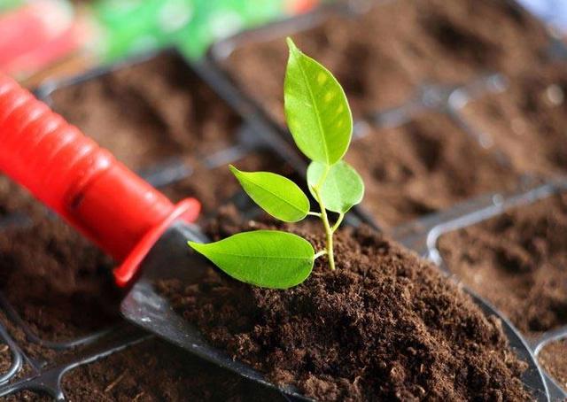 �п�Ժ�ɹ����������޸��²��� ÿĶ�ɱ�����30Ԫ