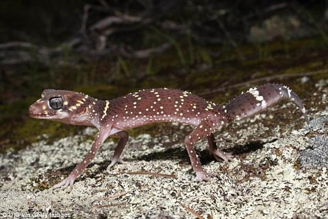 3500����ǰ�Ĵ����ǳ������ִ����