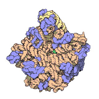 �����ܴ��ģ�۸�����ѧ���ķ��� ���Լ������