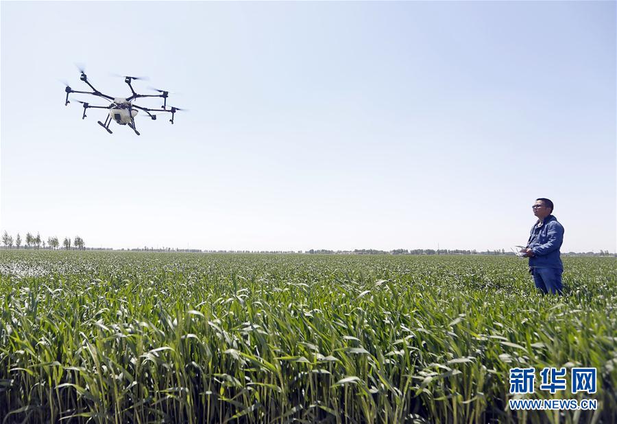 (经济)(1)无人机助力“一喷三防”