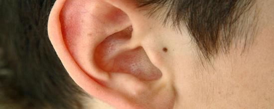 探秘世界上最安静的地方:甚至能听到胃的蠕动声