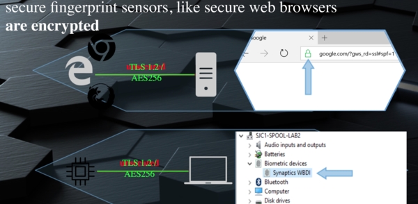 ��10����α��ָ�ƽ����ֻ���PC�����������