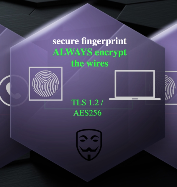 ��10����α��ָ�ƽ����ֻ���PC�����������