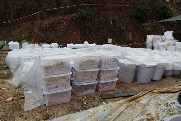 南宁警方侦破广西禁毒“第一案” 查获毒品成品原料10余吨