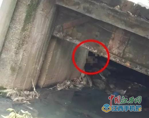 发现女士的位置(据网友)