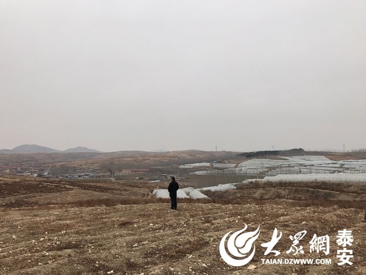 山东一老板一月内发九万红包 称不发难以入睡