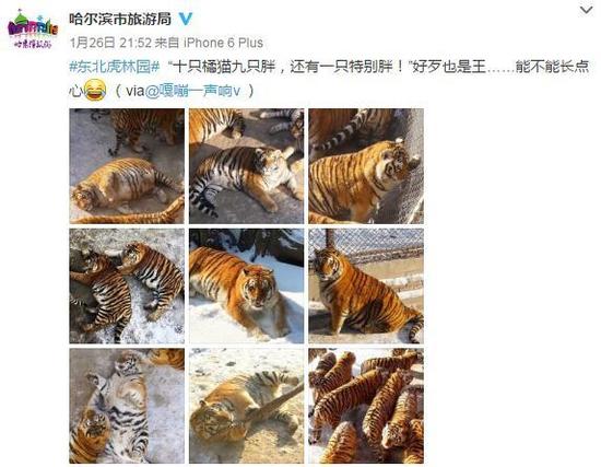 �������ֳ�����