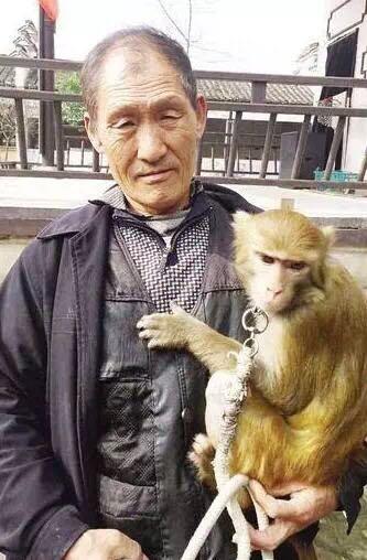 新野6只猴和王宝强拍戏一个月挣15万