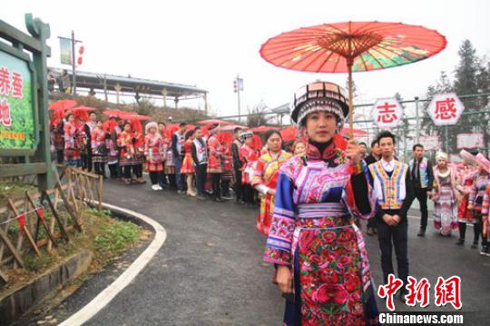 送亲婆领队“吼总持伞”带领送亲队伍向新郎家走去。 申勇 摄