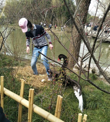 ���Ӿ�������쵰 �ֳ�ͼƬ�ع�