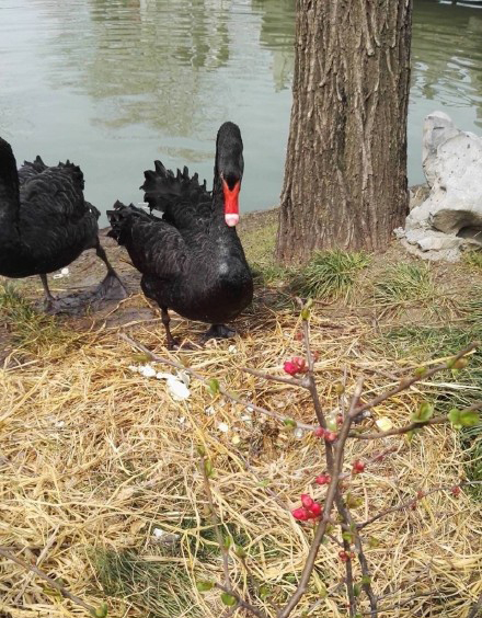 ���Ӿ�������쵰 �ֳ�ͼƬ�ع�