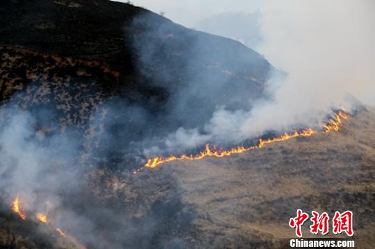 道孚山火现场。 罗艺鑫 摄