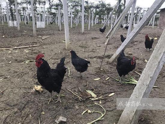 ��ũ����м���͵