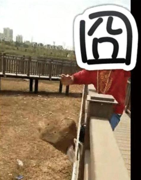 云南楚雄俩学生为成网红直播打砸公园设施被